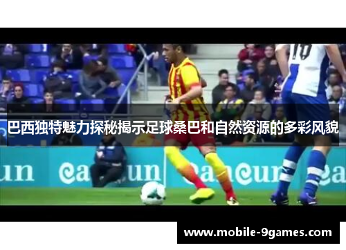 巴西独特魅力探秘揭示足球桑巴和自然资源的多彩风貌 巴西独特魅力探秘揭示足球桑巴和自然资源的多彩风貌