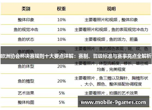 欧洲协会杯决赛规则十大要点详解：赛制、晋级标准与赛事亮点全解析
