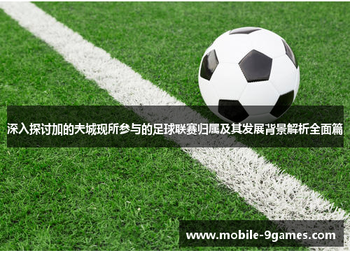 深入探讨加的夫城现所参与的足球联赛归属及其发展背景解析全面篇